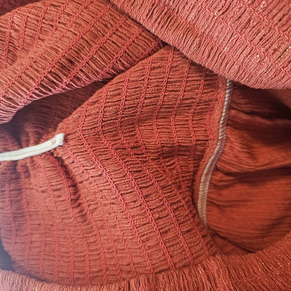 Express Rust Jumpsuit - Picture 7 of 9